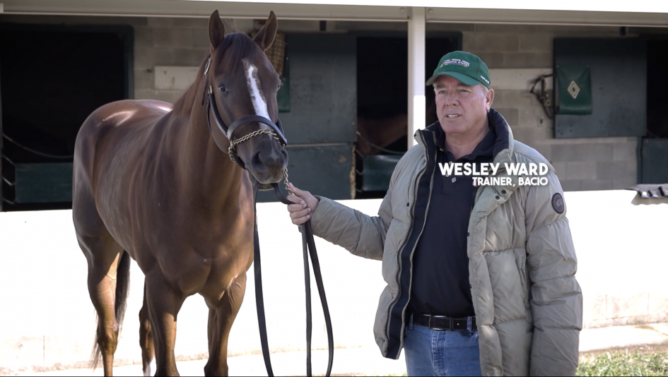 Bacio in His Backyard: ‘Fastest Horse in the World’ Targets Breeders' Cup Turf Sprint